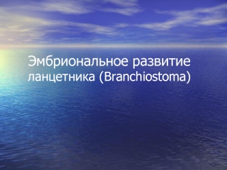 Эмбриональное развитие ланцетника (Branchiostoma)