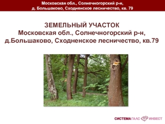 ЗЕМЕЛЬНЫЙ УЧАСТОК
Московская обл., Солнечногорский р-н,              д.Большаково, Сходненское лесничество, кв.79