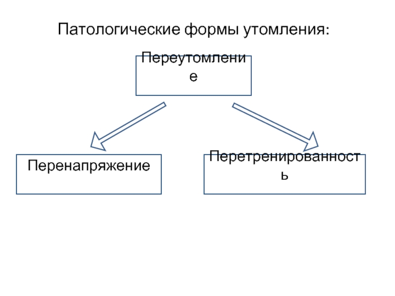 К локальным формам аномального развития принято относить