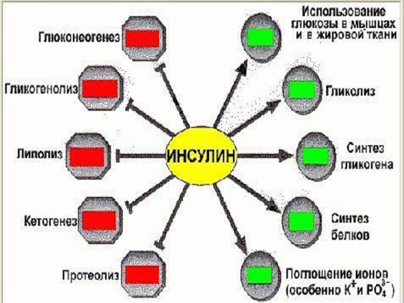 Применение глюкозы. Расходование Глюкозы. Использование Глюкозы в тканях. Инсулин и кетогенез. Для чего используется Глюкоза.