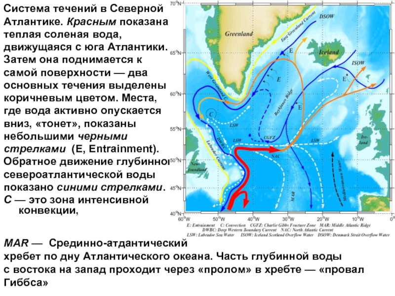 Северное течение. Течения в Атлантике. Течения Северной Атлантики. Течения в Атлантике на карте. Теплые течения Атлантики.