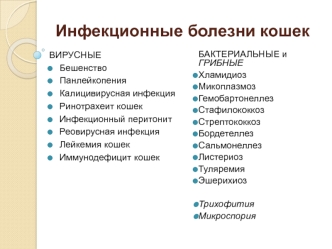 Инфекционные болезни кошек