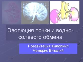 Эволюция почки и водно-солевого обмена