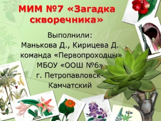 МИМ №7 Загадка скворечника