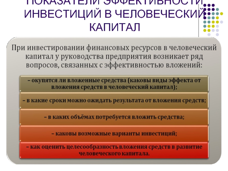 Занятость населения человеческий капитал презентация 8 класс география