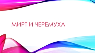 Мирт и черемуха