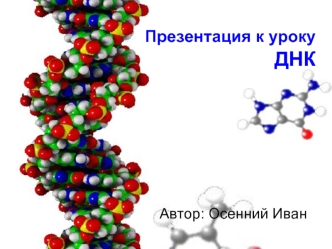 Презентация к уроку ДНК