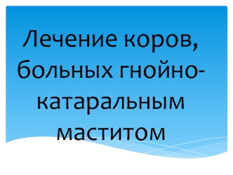 Лечение коров, больных гнойно-катаральным маститом