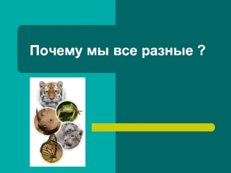 Почему мы все разные ?