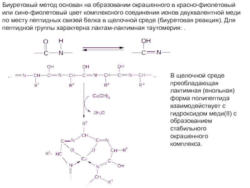 Схема биуретовой реакции