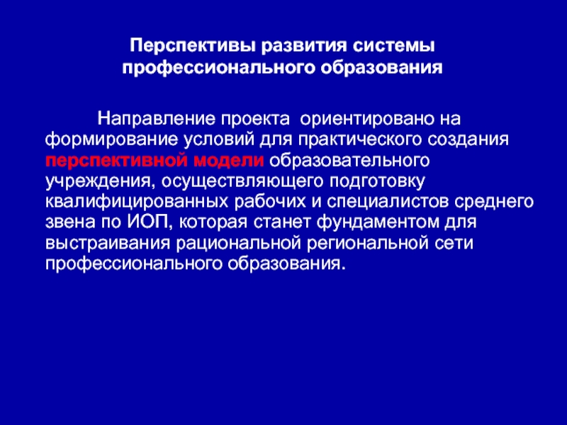 Профессионально ориентированный проект