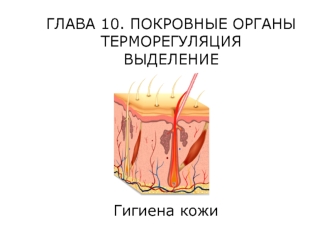 Гигиена кожи