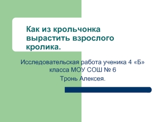 Как из крольчонка вырастить взрослого кролика.