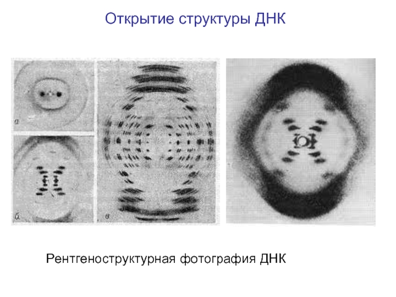 Рентгеноструктурный анализ фото