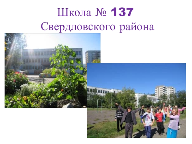 Средняя общеобразовательная школа 137. Школа 137. Школа 137 Новосибирск. Школа 137 Екатеринбург. Школа 137 Самара.
