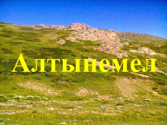 Алтынемел