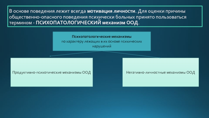 Доклад: Профилактика общественно опасных действий психически больных в Новгородской области