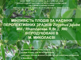 Мінливість плодів та насіння перспективних зразків Zizyphus jujube Mill.( Rhamnaceae R.Br)