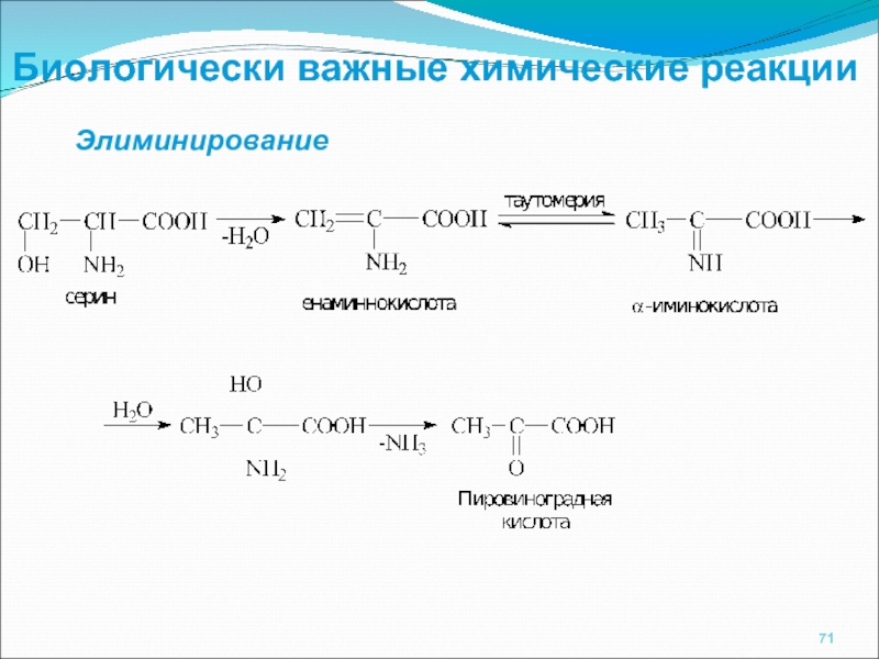 Биологически важные. Реакция элиминирование аминокислот. Элиминирование Серина. Элиминирование треонина. Цистеин элиминирование.