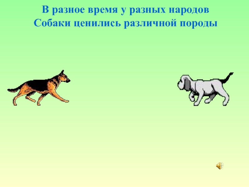В разное время у разных народов Собаки ценились различной породы
