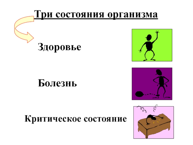 3 состояние выхода. Три состояния организма. Третье состояние организма это. Три состояния здоровья. Третье состояние — это состояние:.