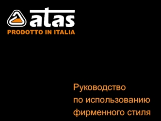 Руководство 
по использованию 
фирменного стиля