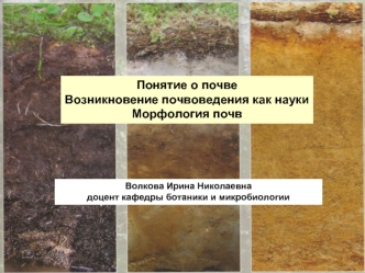 Понятие о почве. Возникновение почвоведения, как науки. Морфология почв. (Лекция 1)