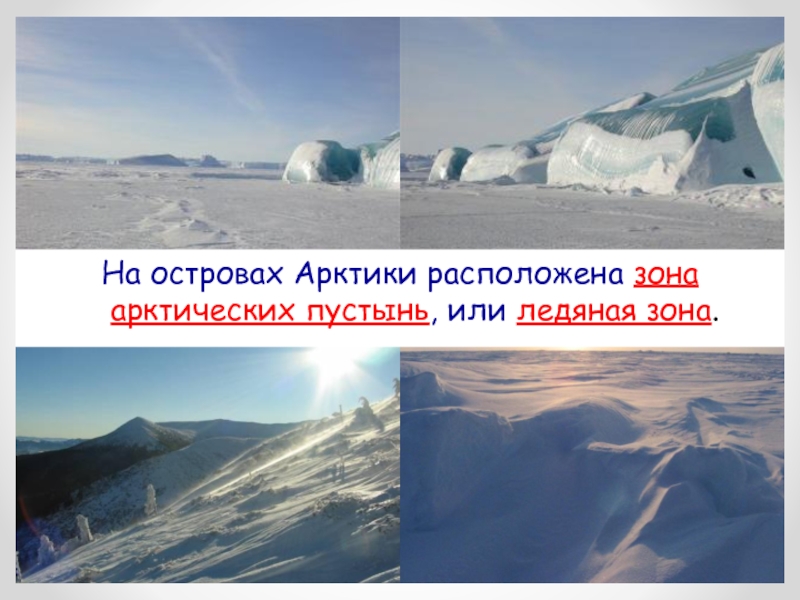 Сколько суток в арктических пустынях. Зона арктических пустынь. Ледяная зона Арктика. Ледяная зона или зона арктических пустынь. Арктические пустыни и Ледяная зона.