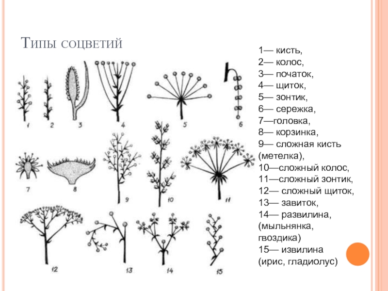 Сложный щиток схема