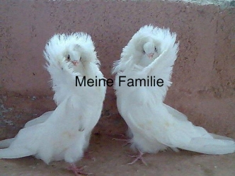 Meine Familie