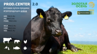 PROD.CENTER 2.0. Оптовая купля-продажи агропродукции online