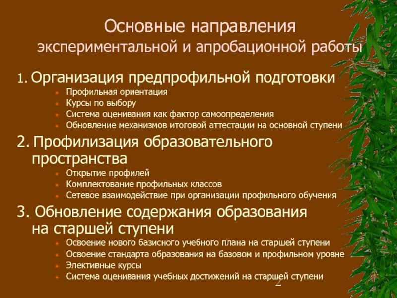 Профилизация. Направления предпрофильной подготовки. Ступени профильного образования. Итоговый проект на тему Предпрофильная подготовка. Профилизация и Наименование направление подготовки.