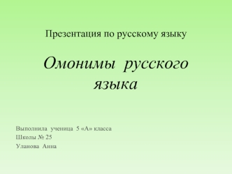 Презентация по русскому языкуОмонимы  русского языка