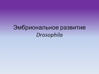 Эмбриональное развитие Drosophila. (Лекция 9)
