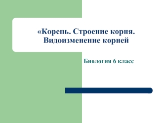 Корень. Строение корня. Видоизменение корней