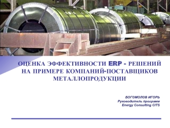 ОЦЕНКА ЭФФЕКТИВНОСТИ ERP - РЕШЕНИЙ 
НА ПРИМЕРЕ КОМПАНИЙ-ПОСТАВЩИКОВ МЕТАЛЛОПРОДУКЦИИ