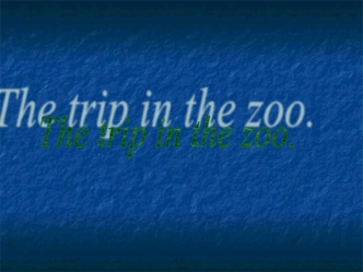 The trip in the zoo.