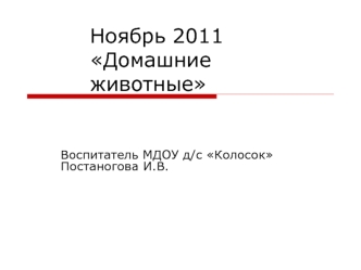 Ноябрь 2011 Домашние животные