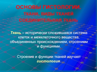 Основы гистологии. Ткани, виды тканей, соединительная ткань