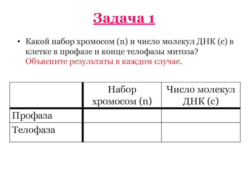 Хромосомный набор и число молекул днк