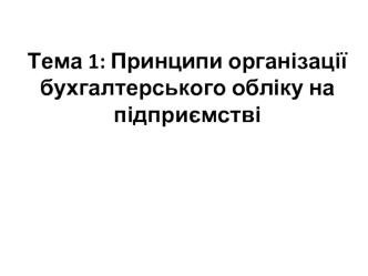 Принципи організації бухгалтерського обліку на підприємстві