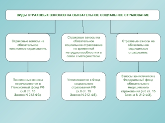 Виды страховых взносов на обязательное социальное страхование