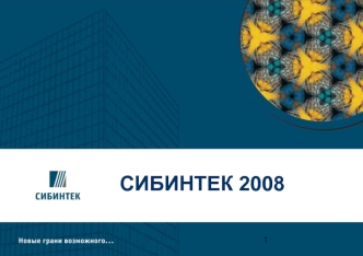 СИБИНТЕК 2008