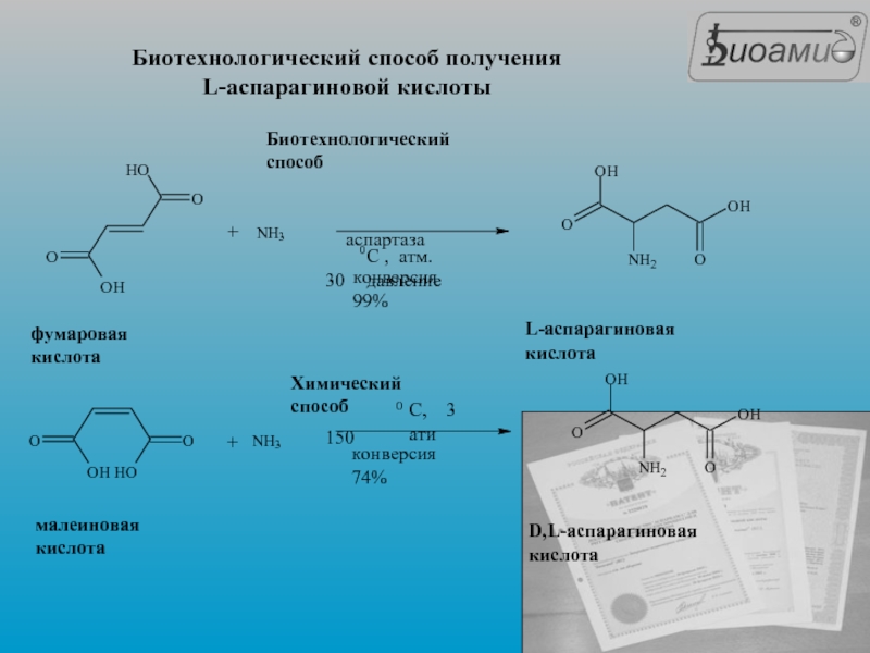 Получение л. Синтез l-аспарагиновой кислоты из фумарата аммония.. Реакции синтеза аспарагина из аспарагиновой кислоты. Схема синтеза аспарагиновой кислоты. Синтез аспарагиновой кислоты.