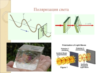 Поляризация света