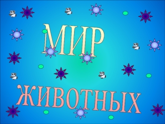 МИР
животных