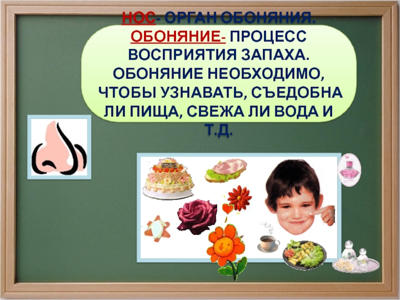 Обоняние класс. Обоняние. Орган обоняния для детей. Обоняние это окружающий мир. Обоняние презентация.