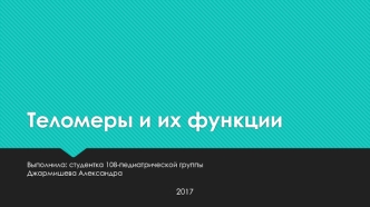 Теломеры и их функции