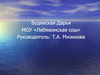 Будянская Дарья МОУ Лебяжинская сош Руководитель: Т.А. Мизинова.