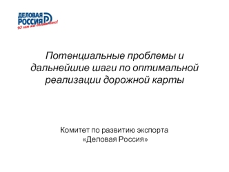 Потенциальные проблемы и дальнейшие шаги по оптимальной реализации дорожной карты